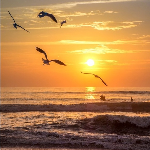 Meet the Posher...Pam - Picture 15 of 16